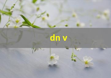 dn v